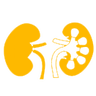 A V Fistula