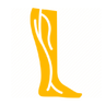 Varicose Veins