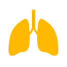 Bronchitis