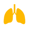 Bronchitis