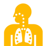 Chronic Obstructive Pulmonary Disease (COPD)