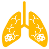 Lung Cancer