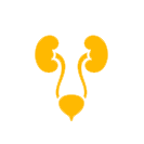 Uro- gynecology