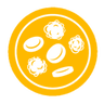 Acute Leukaemia