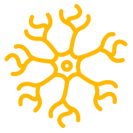 Nerve Repairs or Nerve Injury