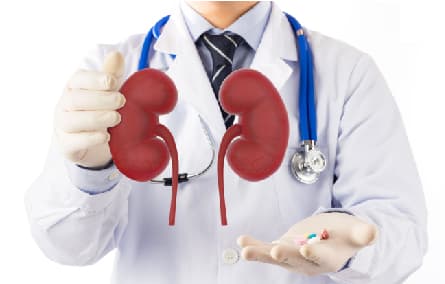 Renal Package