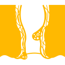 Rectal Prolapse