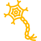Diabetic Neuropathy