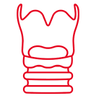 Laryngeal