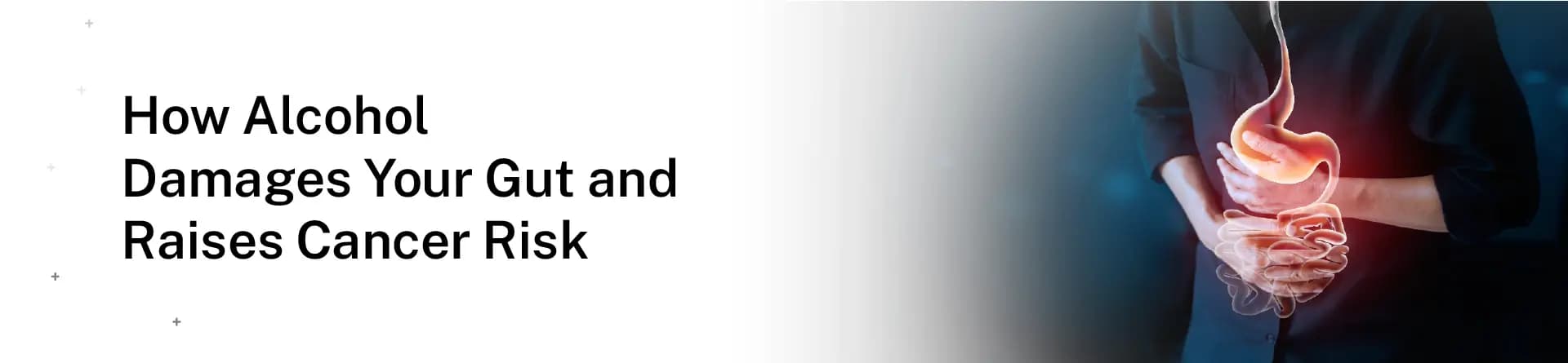 How Alcohol Damages Your Gut and Raises Cancer Risk