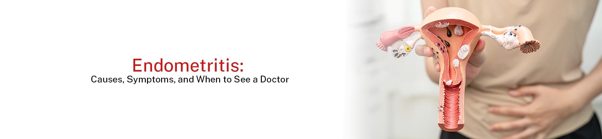 Endometritis: Causes, Symptoms, and When to See a Doctor