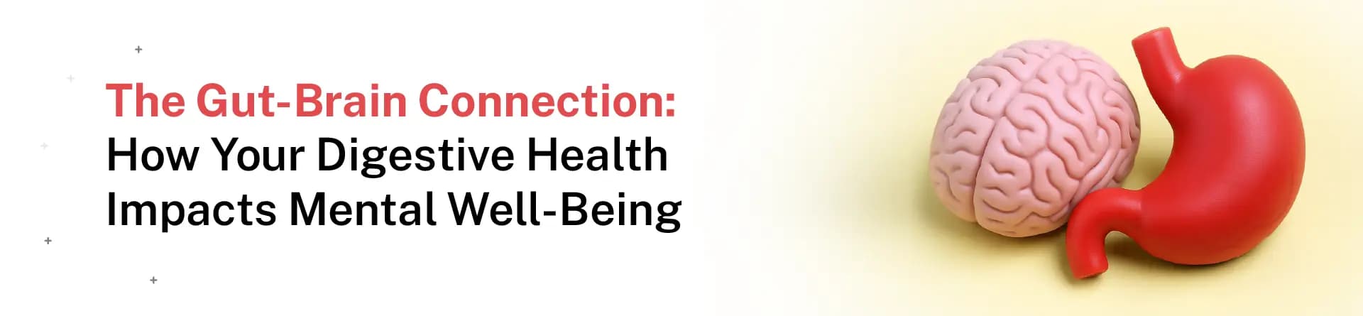 The Gut-Brain Connection: How Your Digestive Health Impacts Mental Well-Being