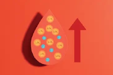 Why High LDL Cholesterol Is Dangerous- and How to Lower It Safely