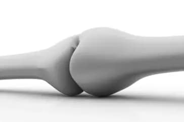 Can You Be Fit on the Outside but Have Weak Bones Within?