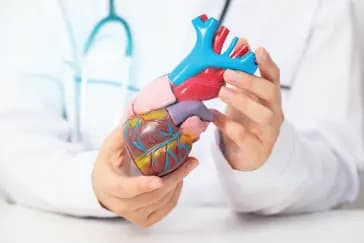 Rheumatic Heart Disease: How Timely Treatment Can Save Your Heart