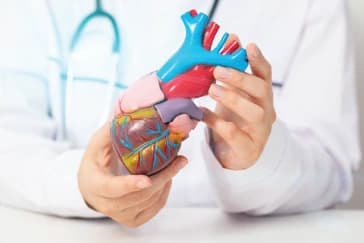 Impact of Microplastics on Your Heart Health