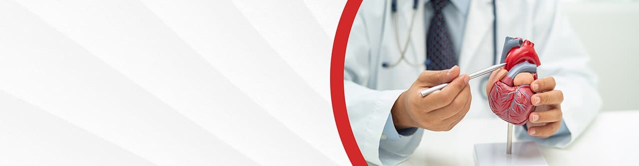 Cardiology