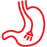 Endoscopy