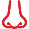 Rhinology