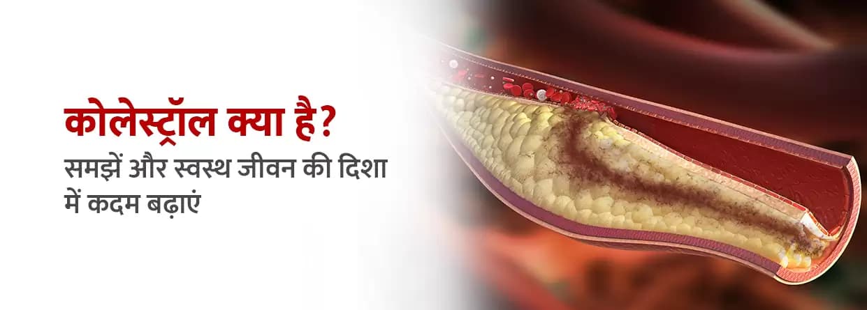कोलेस्ट्रॉल क्या है? समझें और स्वस्थ जीवन की दिशा में कदम बढ़ाएं