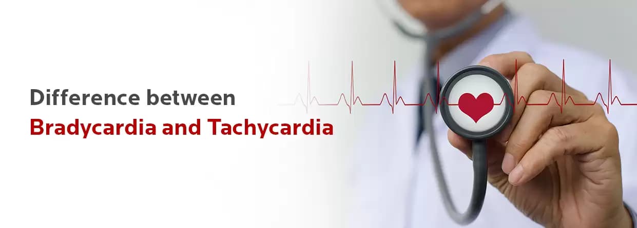 What is the difference between tachycardia and bradycardia?