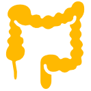 Colorectal Surgery