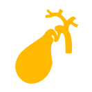 Gall Bladder Cancer