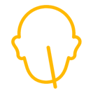 Functional Endoscopic Sinus Surgery (FESS)