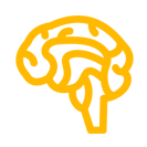 Brain - Stem Implantation