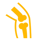 Joint Replacement