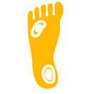 Diabetic Foot & Chronic Wounds