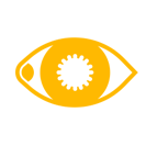 Cornea and Anterior Segment