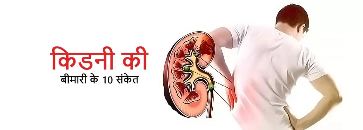 किडनी की बीमारी के 10 संकेत