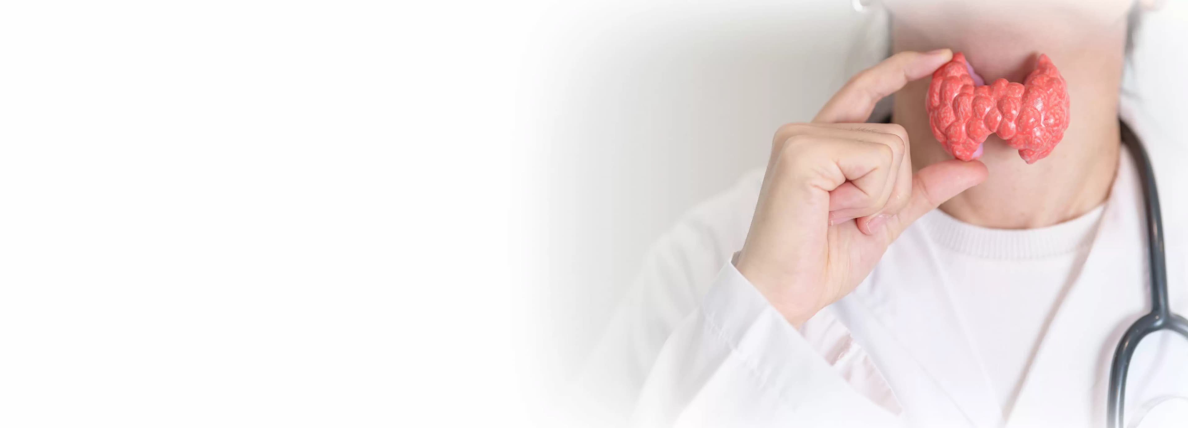 Thyroid Removal Surgery