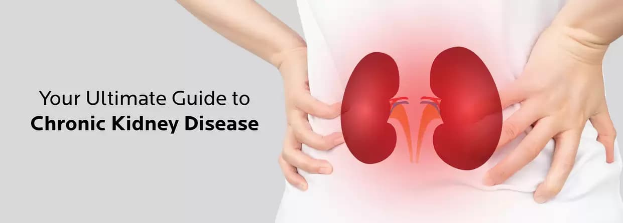 Your Ultimate Guide to Chronic Kidney Disease