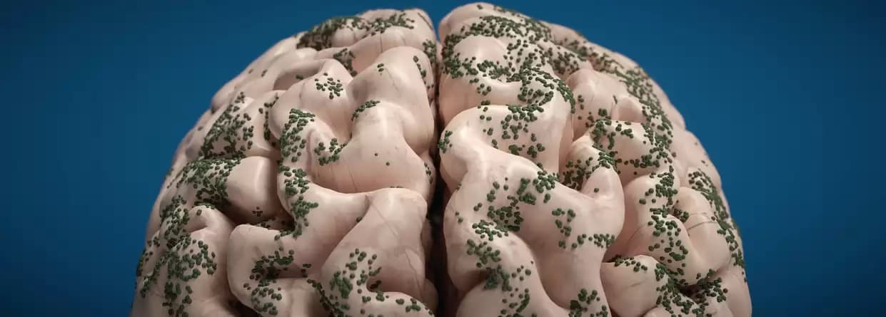 Know Everything About Neurocysticercosis