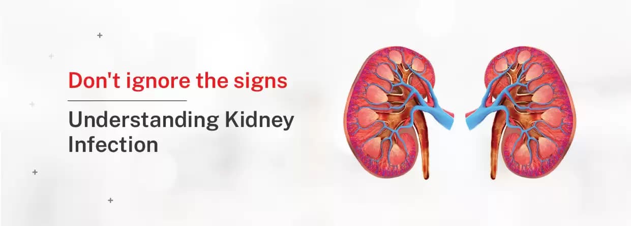 Don't Ignore the Signs: Understanding Kidney Infection