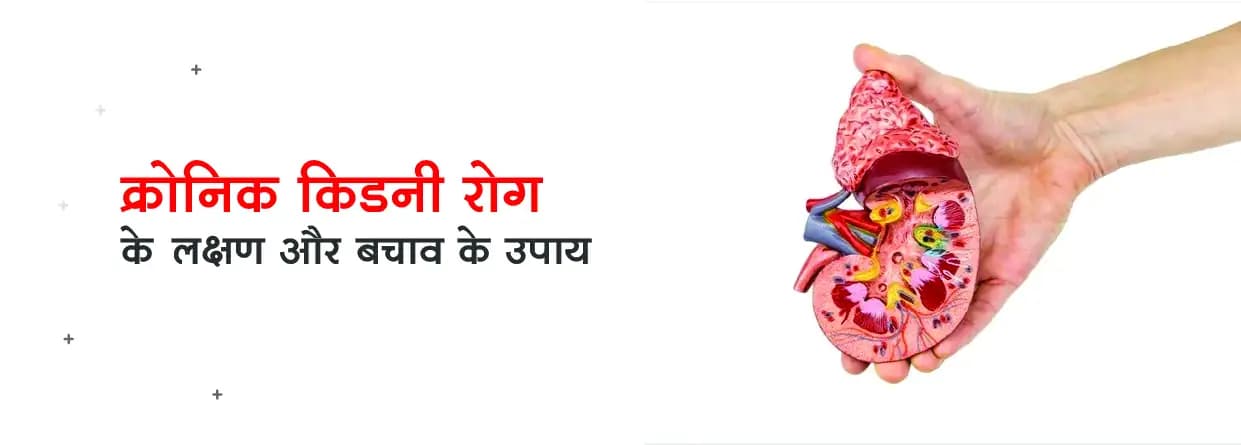 क्रोनिक किडनी रोग के लक्षण और बचाव के उपाय