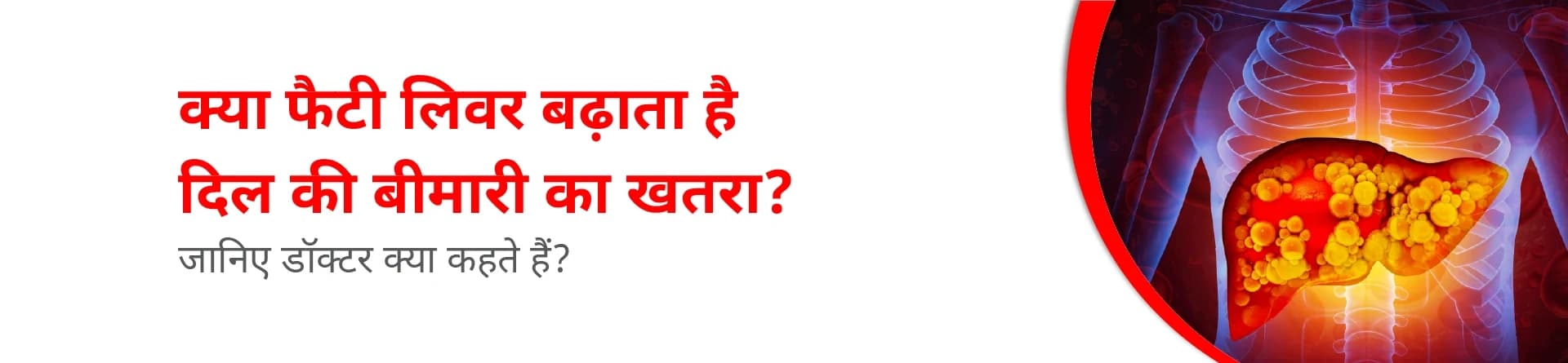 क्या फैटी लिवर दिल की बीमारी का खतरा बढ़ाता है? जानिए डॉक्टर क्या कहते हैं।