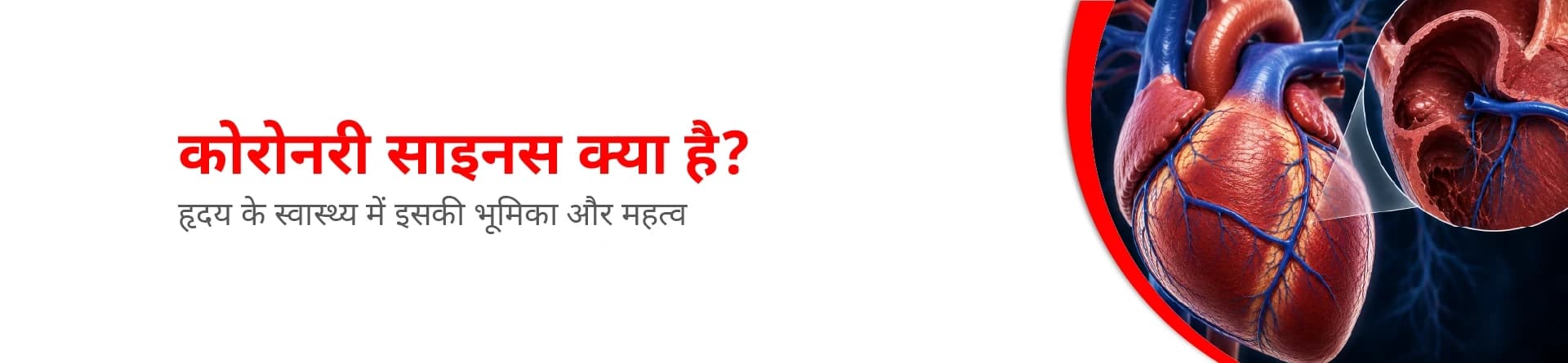 कोरोनरी साइनस क्या है? हृदय के स्वास्थ्य में इसकी भूमिका और महत्व