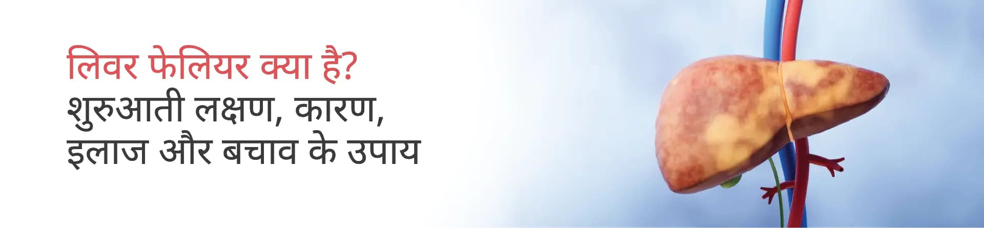 लिवर फेलियर क्या है? शुरुआती लक्षण, कारण, इलाज और बचाव के उपाय
