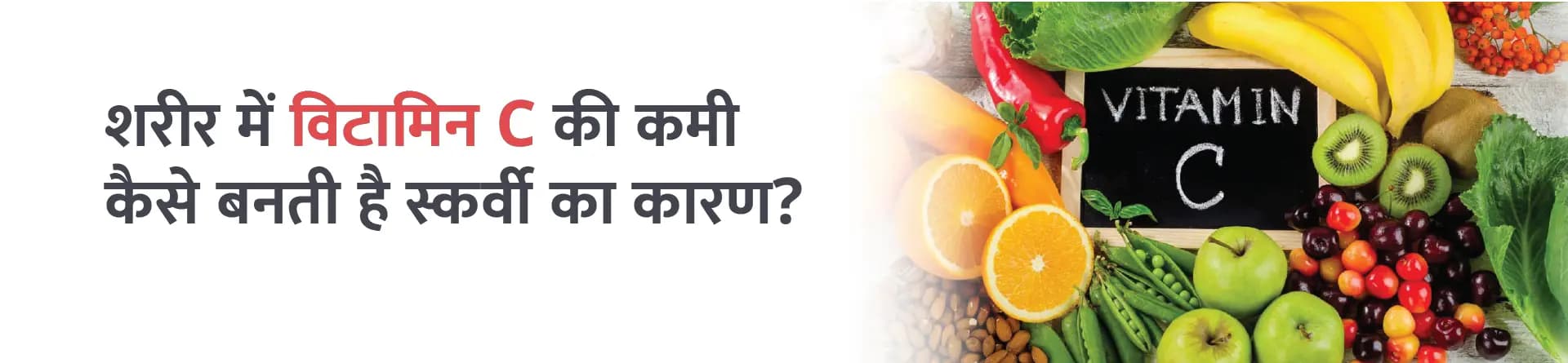 शरीर में विटामिन C की कमी कैसे बनती है स्कर्वी का कारण?
