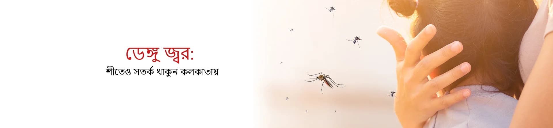 ডেঙ্গু জ্বর: শীতেও সতর্ক থাকুন কলকাতায়