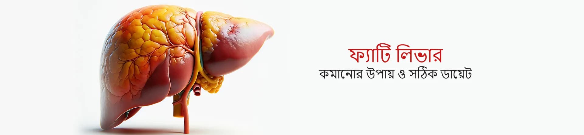 ফ্যাটি লিভার কমানোর উপায় ও সঠিক ডায়েট