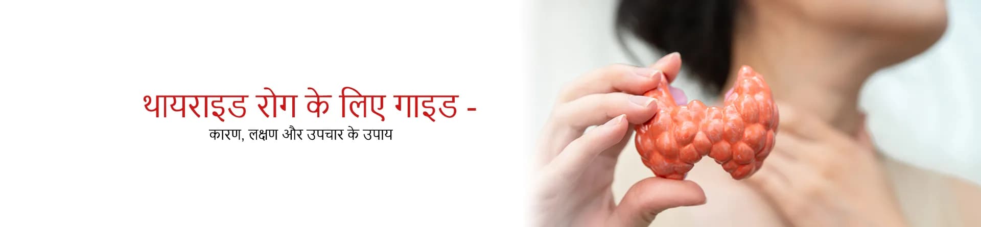 थायराइड रोग के लिए गाइड - कारण, लक्षण और उपचार के उपाय