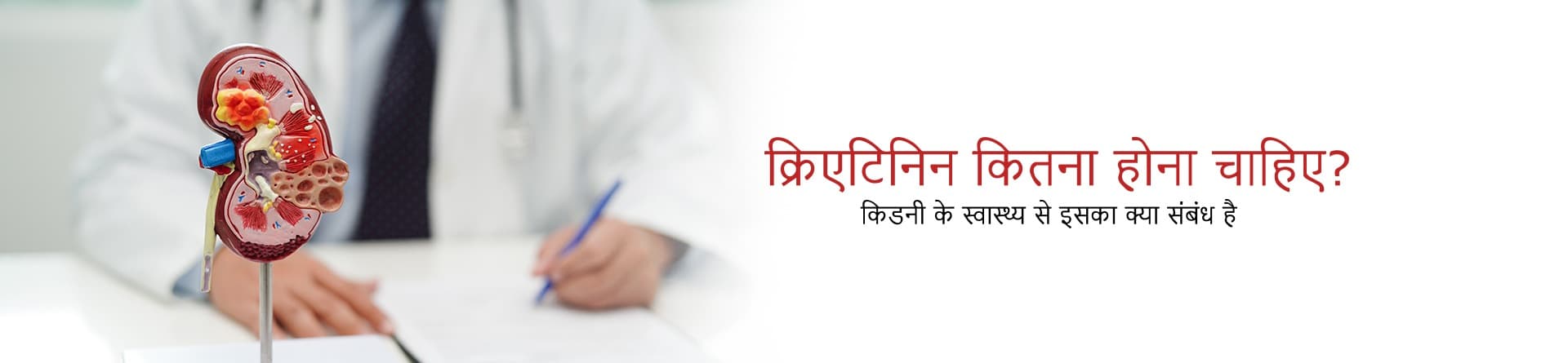 क्रिएटिनिन कितना होना चाहिए? किडनी के स्वास्थ्य से इसका क्या संबंध है