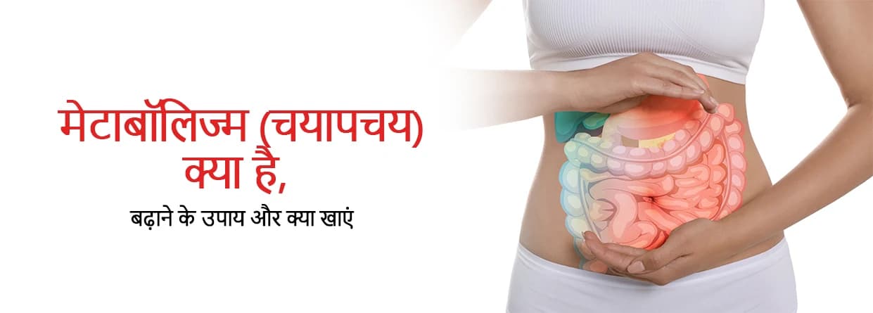 मेटाबॉलिज्म (चयापचय) क्या है, बढ़ाने के उपाय और क्या खाएं