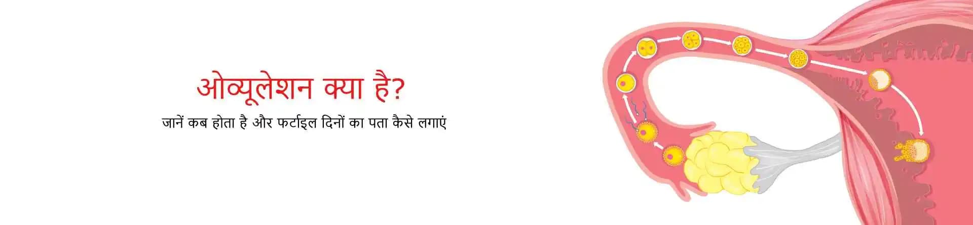 ओव्यूलेशन क्या है? जानें कब होता है और फर्टाइल दिनों का पता कैसे लगाएं