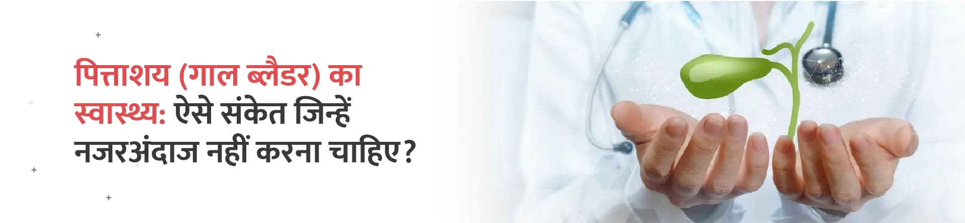 पित्ताशय (गॉलब्लैडर) का स्वास्थ्य: ऐसे संकेत जिन्हें नज़रअंदाज़ नहीं करना चाहिए