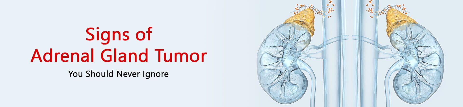 Signs of Adrenal Gland Tumor You Should Never Ignore